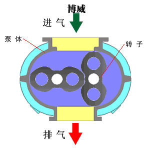 五金知識(shí)：簡(jiǎn)述水環(huán)真空泵的現(xiàn)代發(fā)展趨勢(shì)